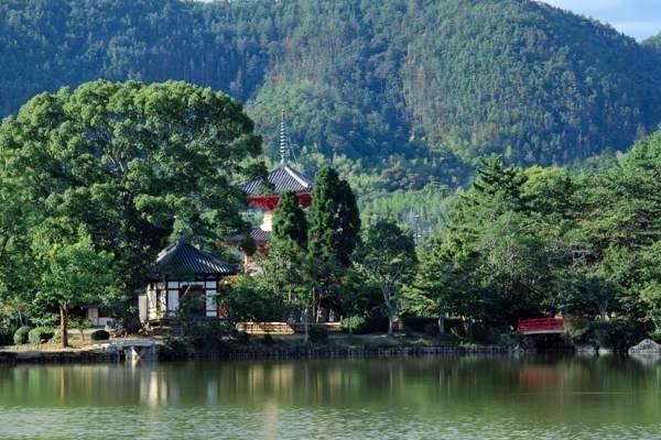 全面解讀導(dǎo)航系統(tǒng)：選擇、使用與價(jià)格分析