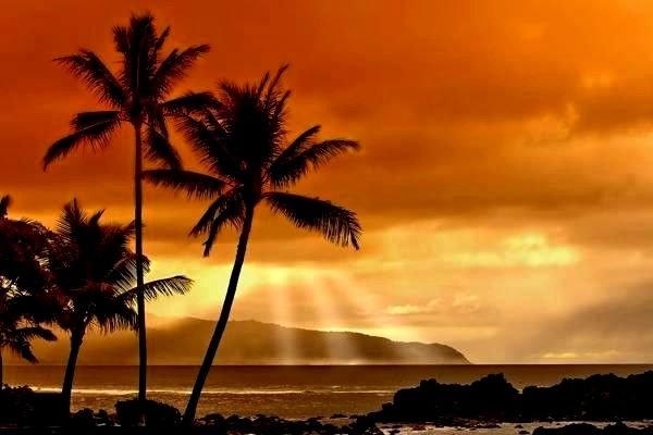 導航系統的全面解析：價格、分類、發(fā)展趨勢與未來如何