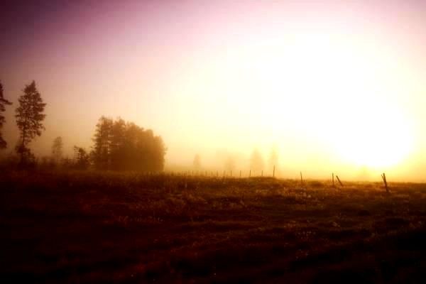 導(dǎo)航系統(tǒng)行業(yè)發(fā)展全景解析：各大公司及其特點(diǎn)