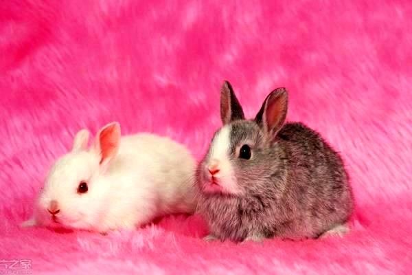 導(dǎo)航系統(tǒng)：什么？價(jià)格？怎么樣？政策解析