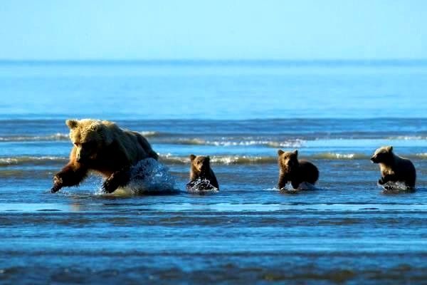 導(dǎo)航系統(tǒng)的全方位解析：定義、應(yīng)用、政策與未來(lái)前景