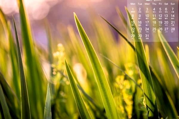 導(dǎo)航系統(tǒng)全解析：定義、應(yīng)用、政策與未來發(fā)展