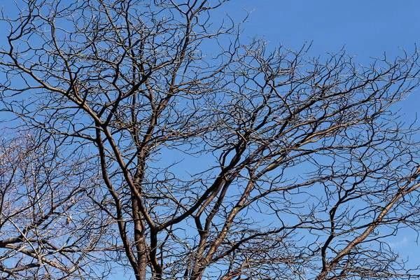 導航系統(tǒng)政策大全：你需要了解的導航系統(tǒng)背后的每一個細節(jié)