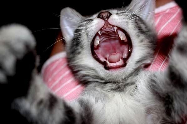 導(dǎo)航系統(tǒng)全景解析：全球?qū)Ш郊夹g(shù)的發(fā)展與應(yīng)用